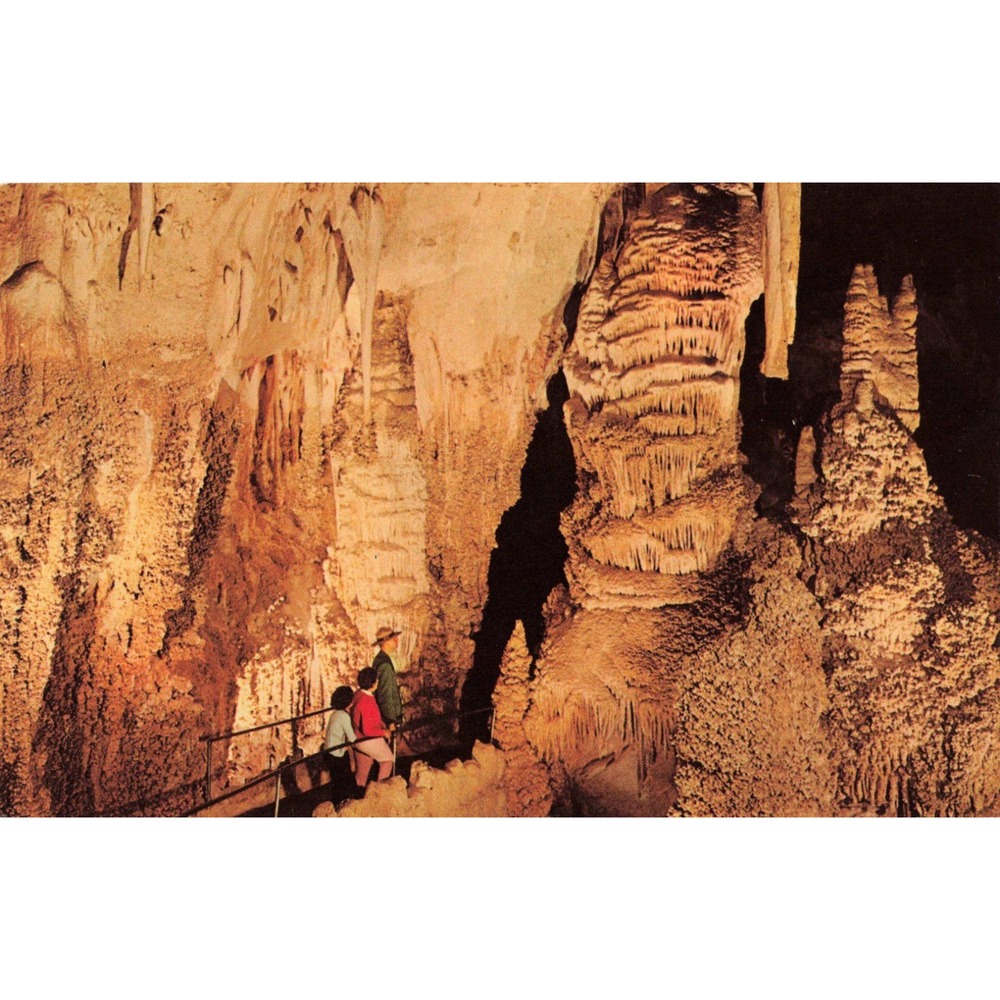 Vintage Carlsbad Caverns National Park NM Big Room Chrome Postcard Ellis-Sawyer - Picture 1 of 2